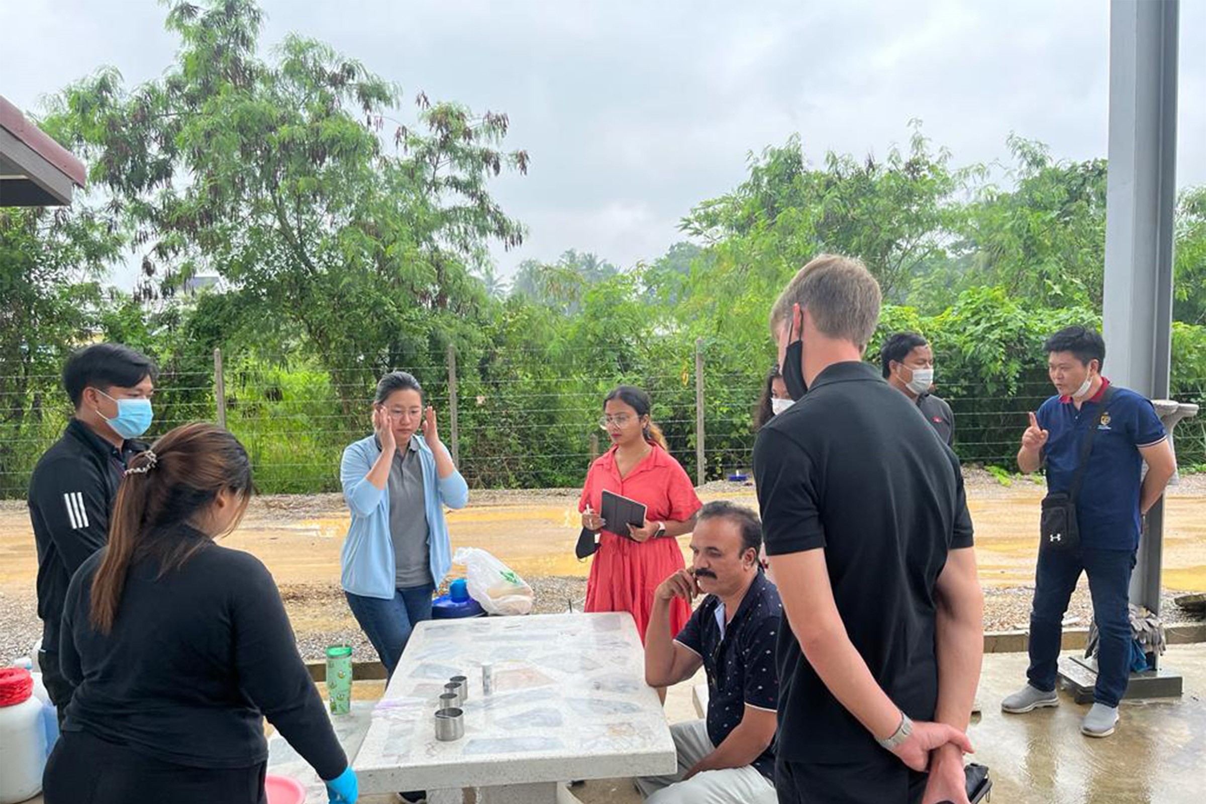 Pineapple quality determination process explained by Dole Team at Thailand